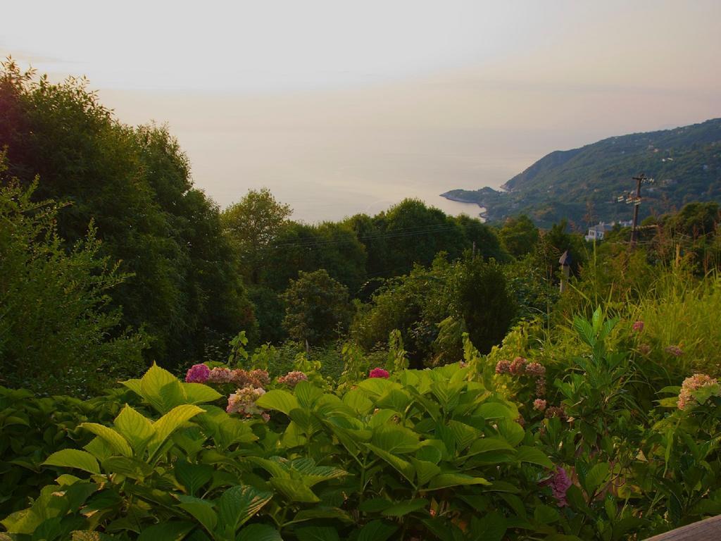 Villa Aglaini Агиос-Димитриос Экстерьер фото